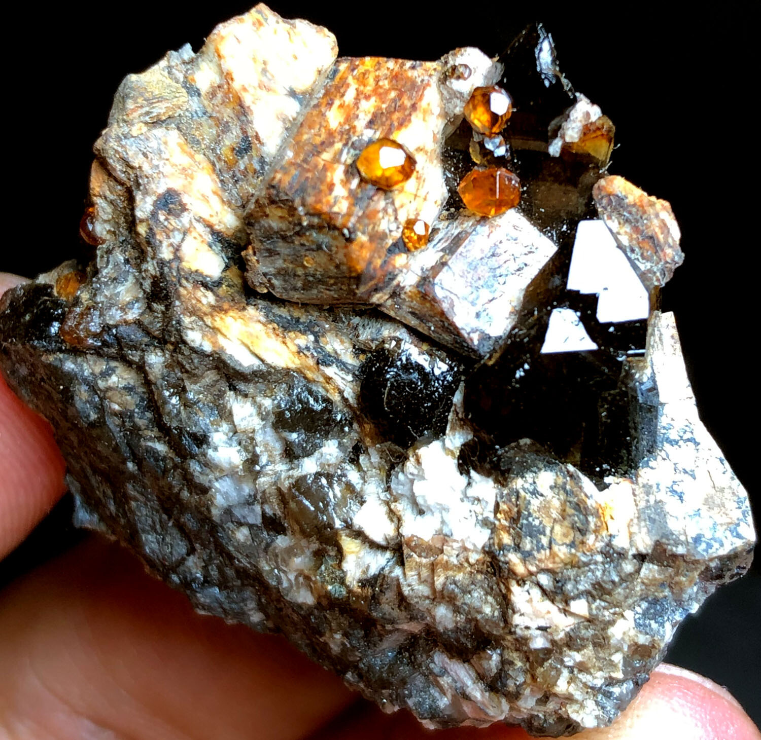 23g Brand new Rare Black SMOKY QUARTZ Crystal Point&Garnet Spessartine f711