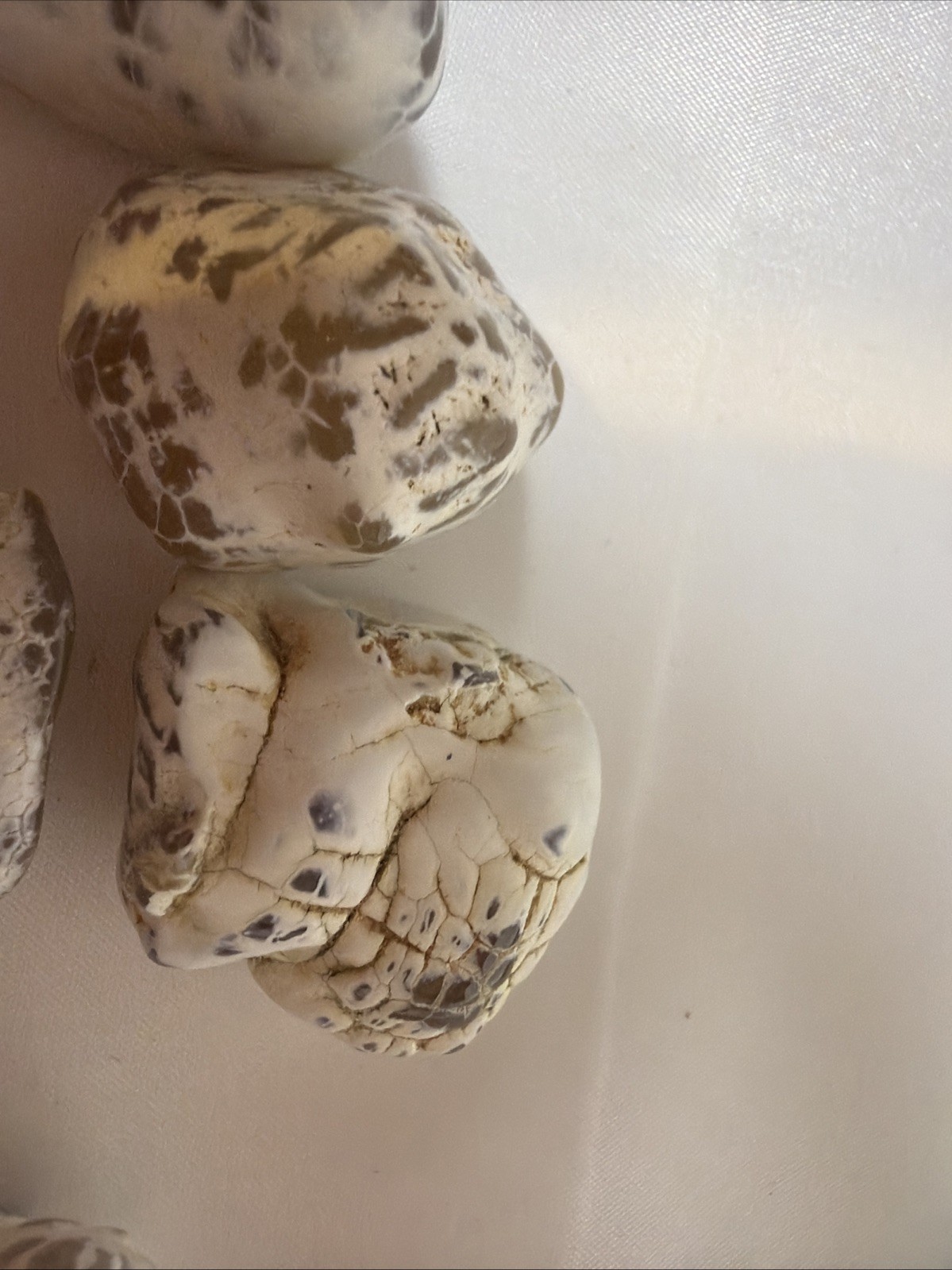 Snakeskin Agate Stones Set With 7 Pieces. 110grs (3.9 Oz) Mineral Collection
