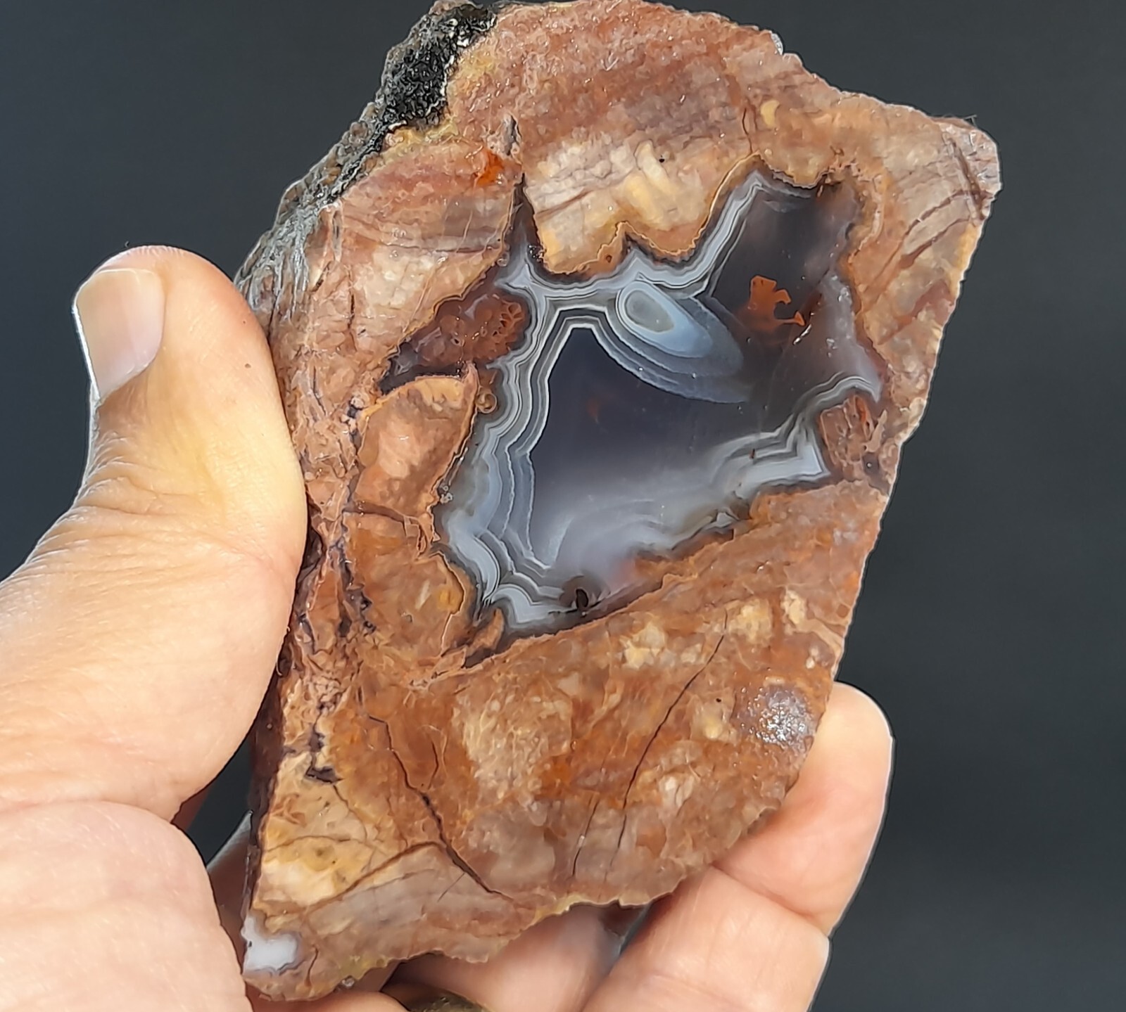 455g/1.00 lb turkish banded thunderegg agate stone, customs duty included