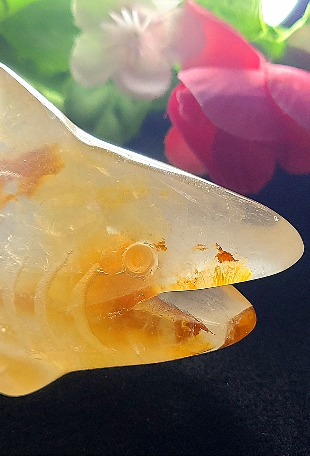 X Large 5.6″ Unique 252g Golden Healer Quartz Shark Sea Crystal Carving