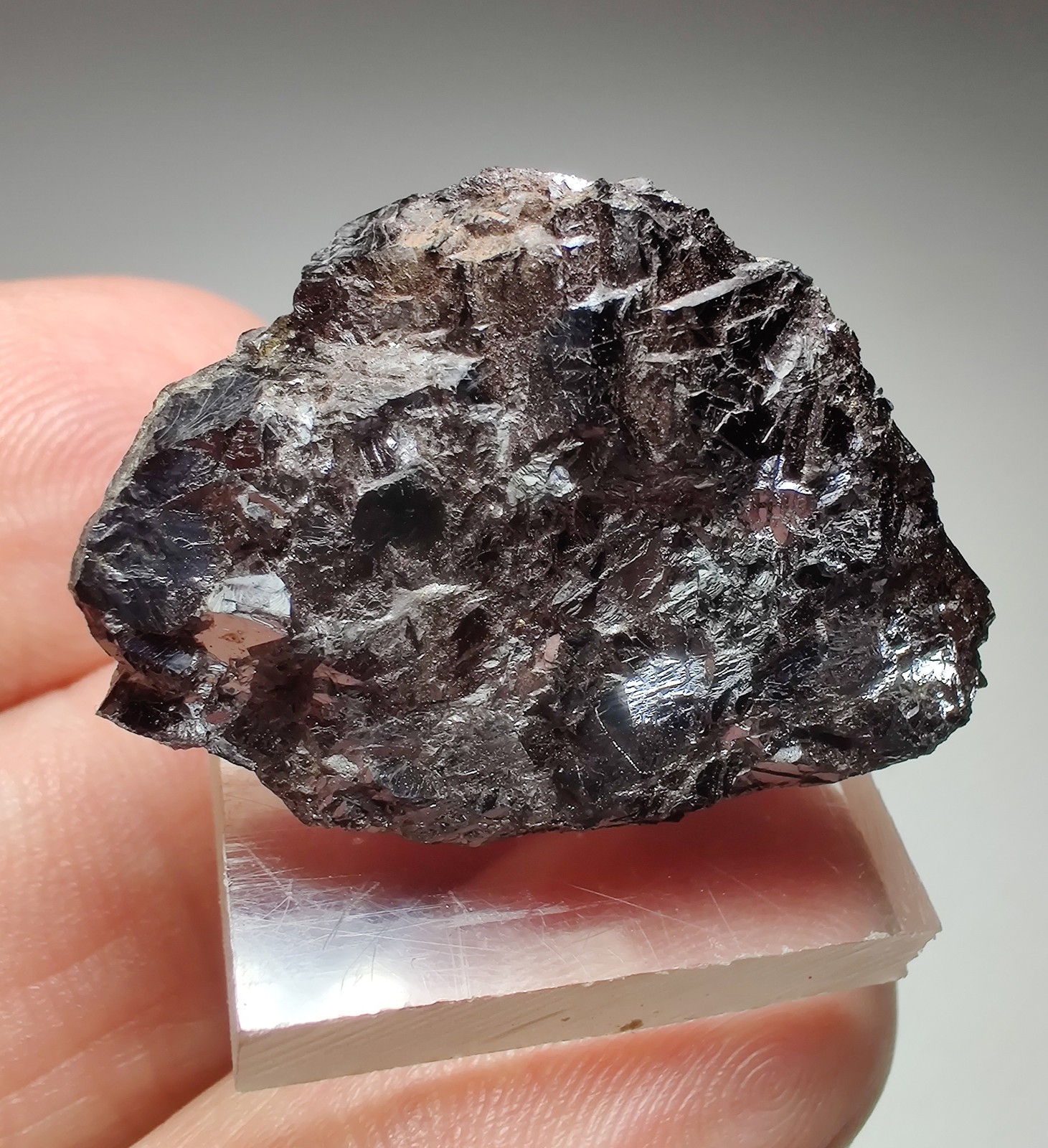 Sphalerite crystals, very high luster. Ontario, Canada. 12 grams.