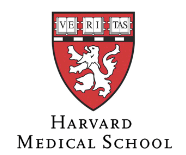 Dr. Nelson Astur Neto - Certificado Harvard Medical School